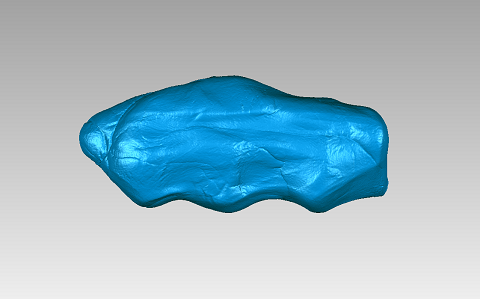 橡皮泥3D扫描3