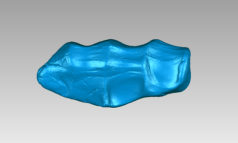 橡皮泥3D扫描4